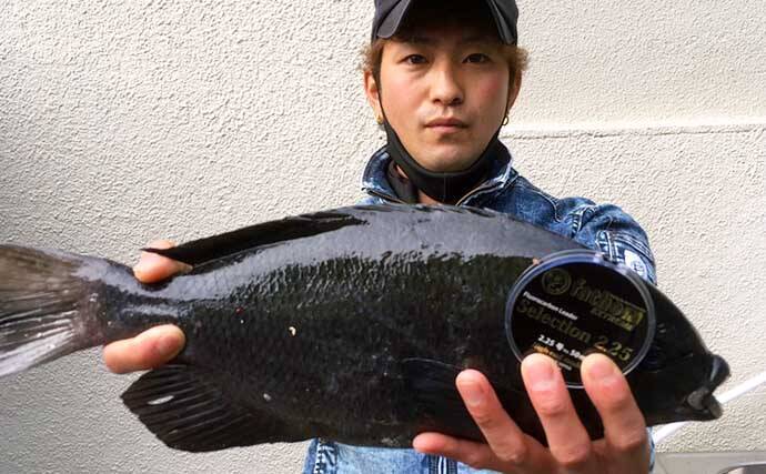 磯フカセ釣りで42cm口太グレ手中 尾長混じり数釣りも堪能 山口 見島 21年3月29日 エキサイトニュース 2 2