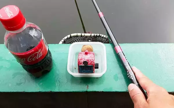 「キンギョ釣り堀で本命127尾　数釣りの楽しみ方とは？【東京・保谷FC】」の画像