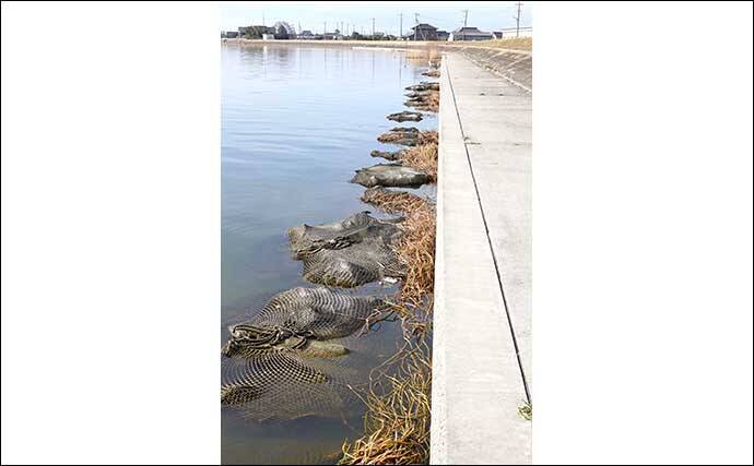 今週のヘラブナ推薦釣り場【茨城県・鰐川／徳島排水機場前】