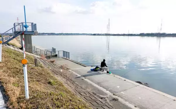 今週のヘラブナ推薦釣り場【茨城県・鰐川／徳島排水機場前】