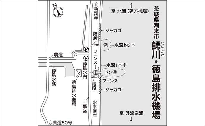 今週のヘラブナ推薦釣り場【茨城県・鰐川／徳島排水機場前】