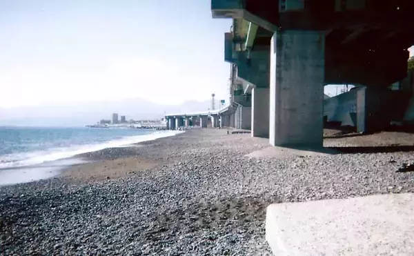 「サーフで投げ釣り堪能　シロギス不発もムシガレイ2匹【神奈川・国府津】」の画像