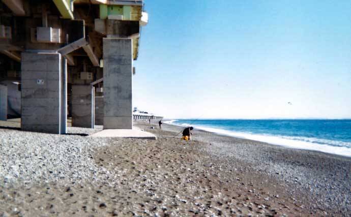 サーフで投げ釣り堪能　シロギス不発もムシガレイ2匹【神奈川・国府津】