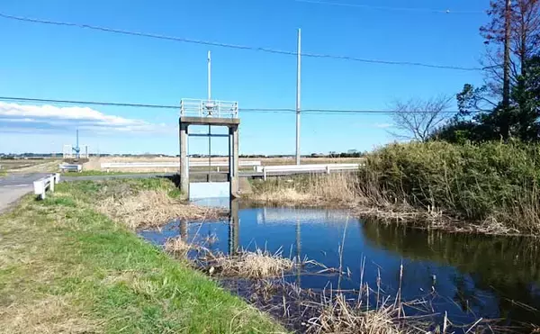 「春の乗っ込みマブナ好釣り場：ザコ川　ハマれば入れ食いも【茨城】」の画像