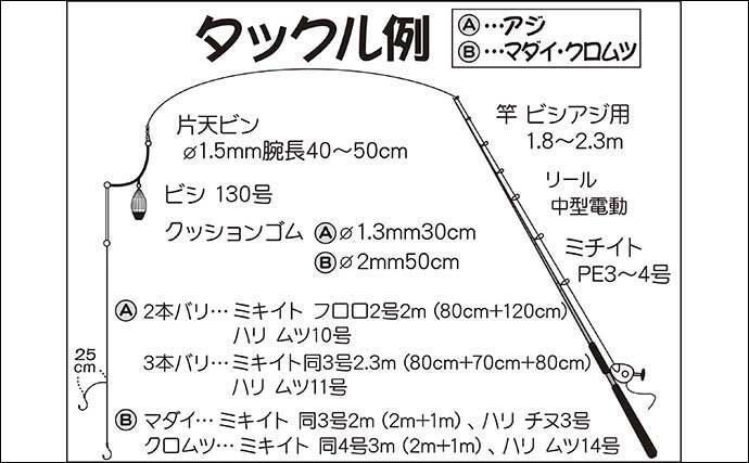 21 相模湾 ビシアジ 釣り初心者入門 泳がせで大物狙いも面白い 21年4月6日 エキサイトニュース