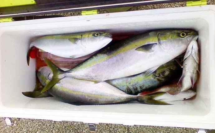 遠征釣行の基礎知識：初心者は戦略的に「ビギナーズラック」狙うべき？