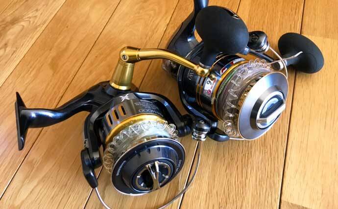 遠征釣行の基礎知識：初心者は戦略的に「ビギナーズラック」狙うべき？