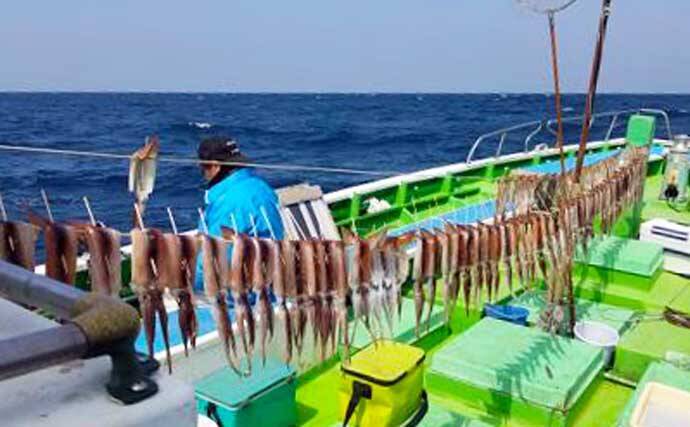 【神奈川・東京】沖釣り最新釣果　寝坊OKの14時半出船LTアジがお手軽