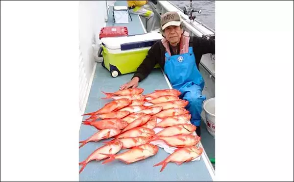 「【神奈川・東京】沖釣り最新釣果　寝坊OKの14時半出船LTアジがお手軽」の画像