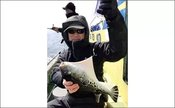 「【神奈川・東京】沖釣り最新釣果　寝坊OKの14時半出船LTアジがお手軽」の画像