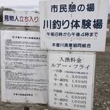 「スプーンにトレーラー装着でニジマス爆釣【愛知・北方川釣り体験場】」の画像4