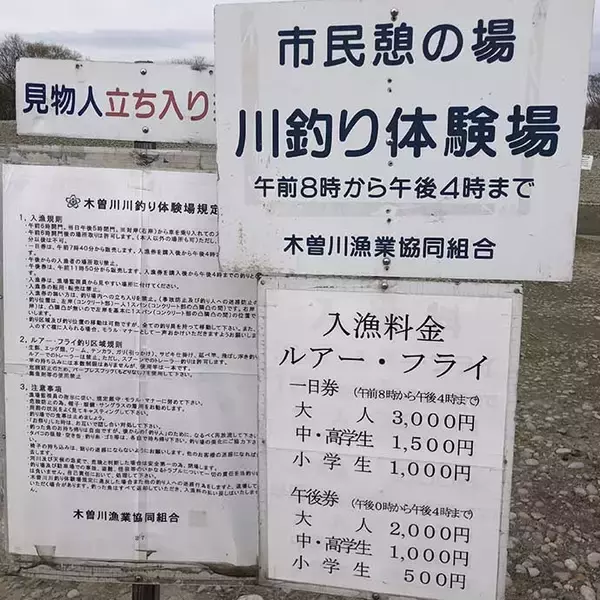 「スプーンにトレーラー装着でニジマス爆釣【愛知・北方川釣り体験場】」の画像