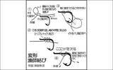 今さら聞けない 渓流エサ釣り のキホン 仕掛け作り方とハリの選び方 21年4月8日 エキサイトニュース