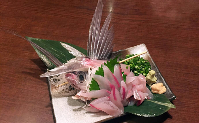 空飛ぶ魚トビウオの一種 角トビ は春が旬 東日本では知名度低め 21年4月14日 エキサイトニュース 2 2