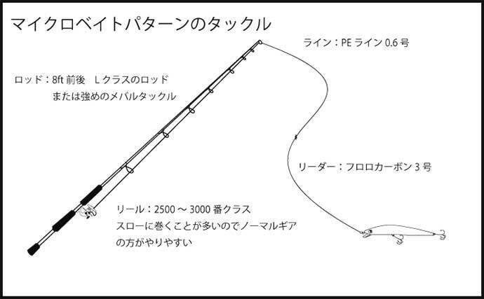今さら聞けないシーバスのキホン マイクロベイトパターン の攻略法 21年4月17日 エキサイトニュース