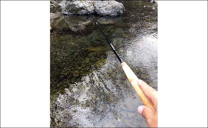 「古式テンカラ」釣りキャスティング精度を『馬素』＆『ナイロン』で比較