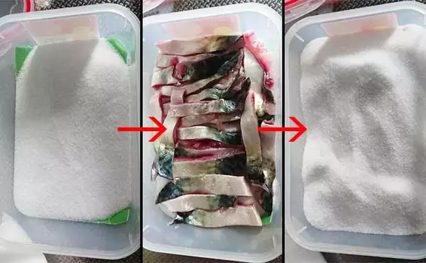 「『餌巻きスッテ』使用イカメタルのススメ　仕掛け＆エサの作り方を解説」の画像