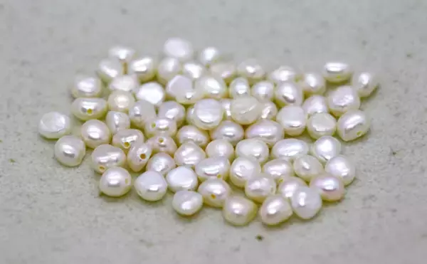 「琵琶湖の『淡水真珠』養殖業を「ナマズ」が救う可能性　寄生魚として期待」の画像