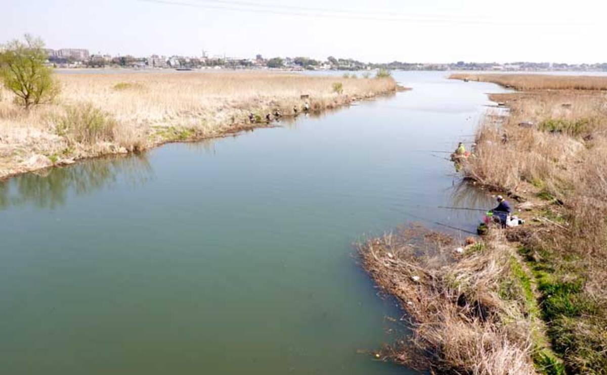 今週のヘラブナ推薦釣り場 千葉県 大津川 21年4月13日 エキサイトニュース 今週のヘラブナ推薦釣り場 千葉県 大津川 21年4月13日 エキサイトニュース