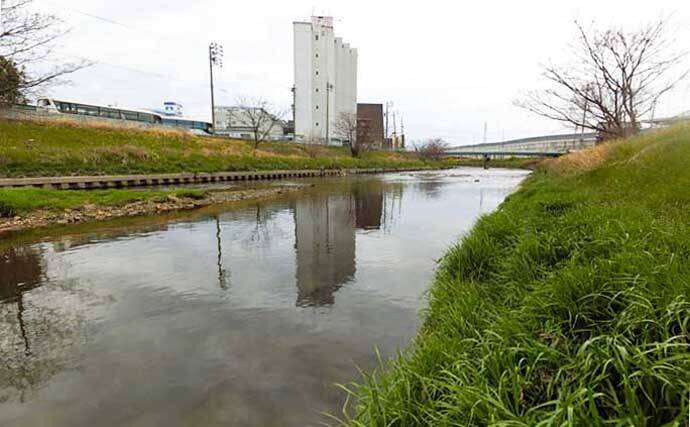 ナマズゲームで70cm頭に本命3匹 スピンキャストリールで挑戦 愛知 21年4月16日 エキサイトニュース