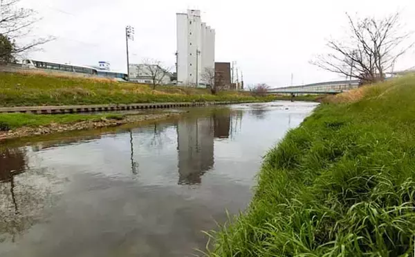 「ナマズゲームで70cm頭に本命3匹　スピンキャストリールで挑戦【愛知】」の画像