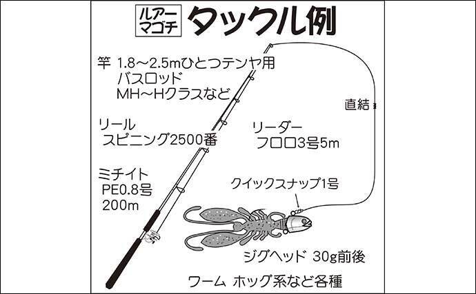 東京湾21 通年楽しめる エサ ルアー マゴチ釣り初心者入門 21年4月日 エキサイトニュース