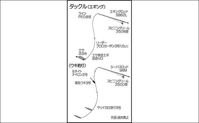 陸っぱりエギング 電気ウキ釣りでヤリイカ80匹と好調 山口 青海島 21年4月21日 エキサイトニュース