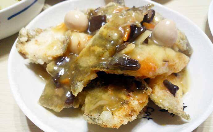 【2021】常磐『小突きカレイ釣り』徹底解説　種類多彩に数釣りも狙える