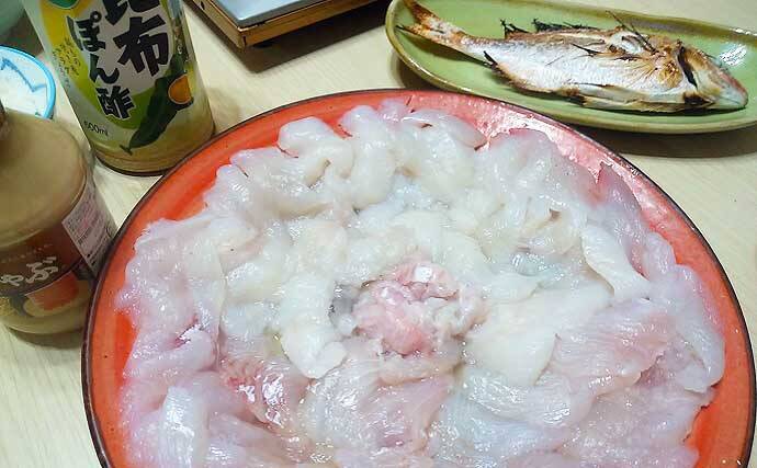 【2021】常磐『小突きカレイ釣り』徹底解説　種類多彩に数釣りも狙える