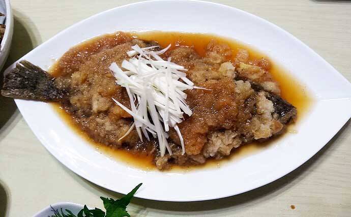 【2021】常磐『小突きカレイ釣り』徹底解説　種類多彩に数釣りも狙える