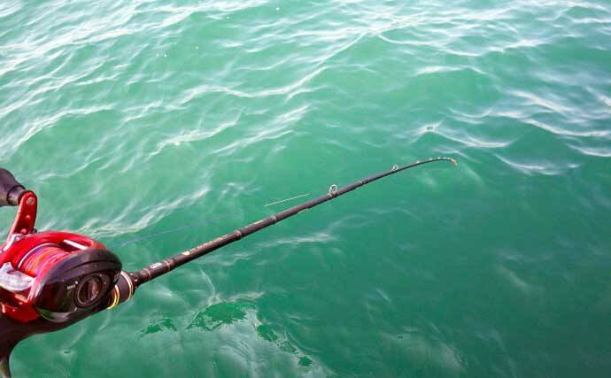 【2021】常磐『小突きカレイ釣り』徹底解説　種類多彩に数釣りも狙える