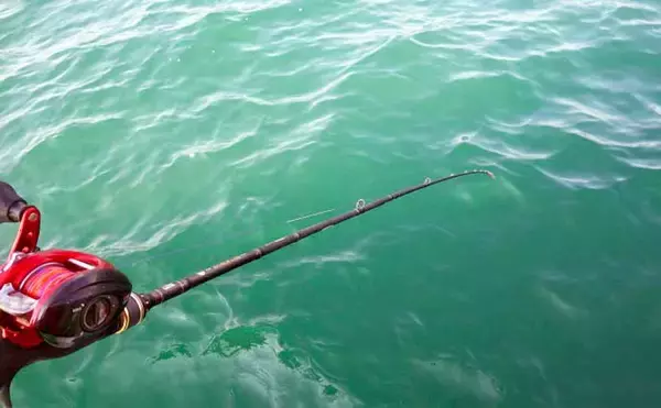 「【2021】常磐『小突きカレイ釣り』徹底解説　種類多彩に数釣りも狙える」の画像