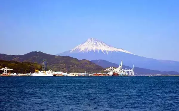 「サーフで釣れる『鳴く』サカナ4種　聞こえ方は人それぞれ？【静岡】」の画像