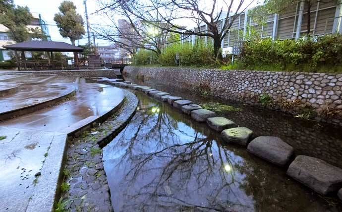 都市河川のナマズゲームで60cm本命　ルアーサイズがキモ【名古屋】