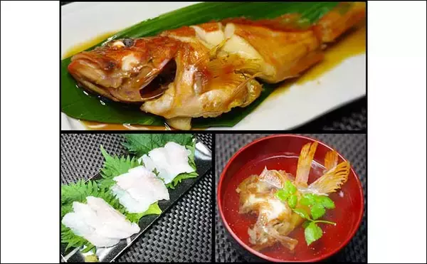 「泳がせ釣りでカサゴ族７匹　エサ狙いのサビキも楽しい【三重・魚勘丸】」の画像