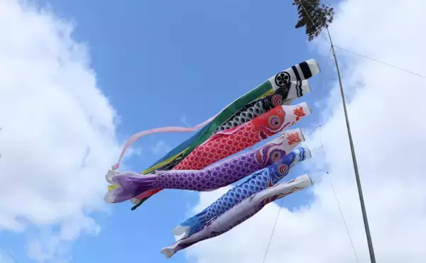 『こいのぼり』のカラーリングの由来　1964年の「東京五輪」が関係？