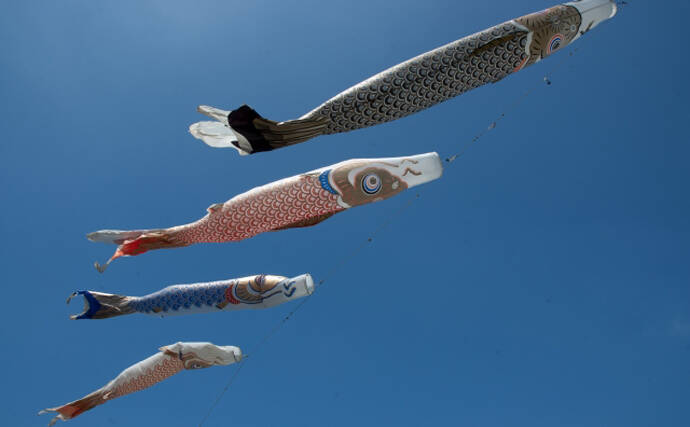 『こいのぼり』のカラーリングの由来　1964年の「東京五輪」が関係？