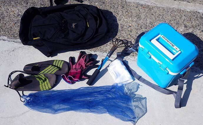 シーズン初「潮干狩り」でアサリ・アカニシ・ホンビノス【江戸川放水路】