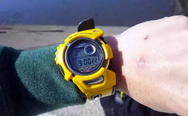 「シーズン初「潮干狩り」でアサリ・アカニシ・ホンビノス【江戸川放水路】」の画像