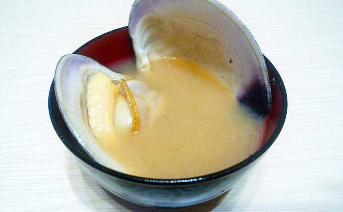 シーズン初「潮干狩り」でアサリ・アカニシ・ホンビノス【江戸川放水路】