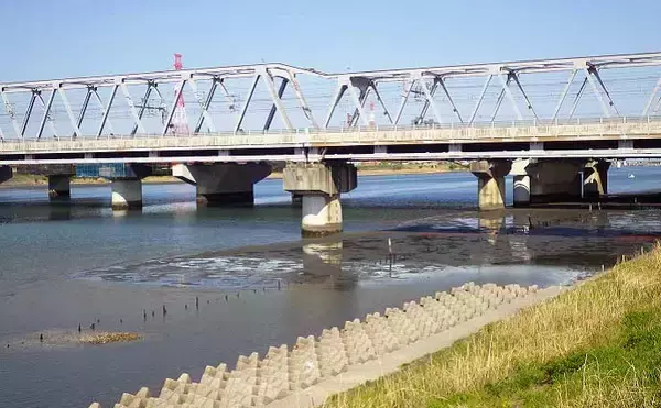 「シーズン初「潮干狩り」でアサリ・アカニシ・ホンビノス【江戸川放水路】」の画像