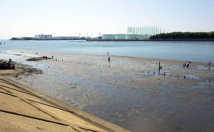 シーズン初「潮干狩り」でアサリ・アカニシ・ホンビノス【江戸川放水路】