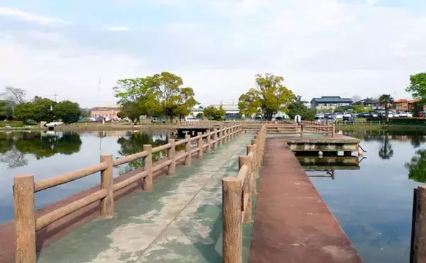 「今週のヘラブナ推薦釣り場【埼玉県・薬師沼】」の画像