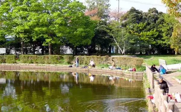 「今週のヘラブナ推薦釣り場【埼玉県・薬師沼】」の画像