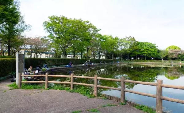 今週のヘラブナ推薦釣り場【埼玉県・薬師沼】