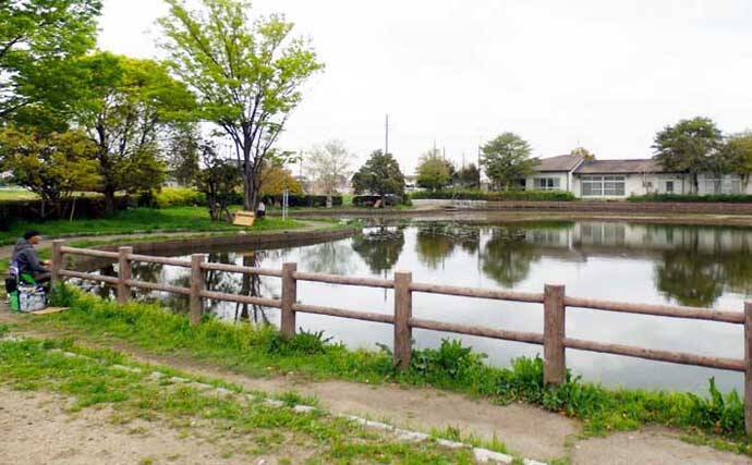 今週のヘラブナ推薦釣り場【埼玉県・薬師沼】