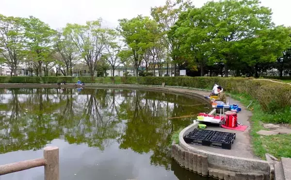 「今週のヘラブナ推薦釣り場【埼玉県・薬師沼】」の画像