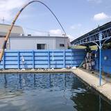 「コイ釣り堀へ手ぶら釣行　「的確すぎる」常連のアドバイスで連発ヒット」の画像6