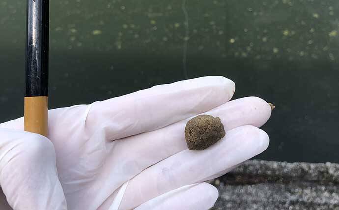 コイ釣り堀へ手ぶら釣行　「的確すぎる」常連のアドバイスで連発ヒット