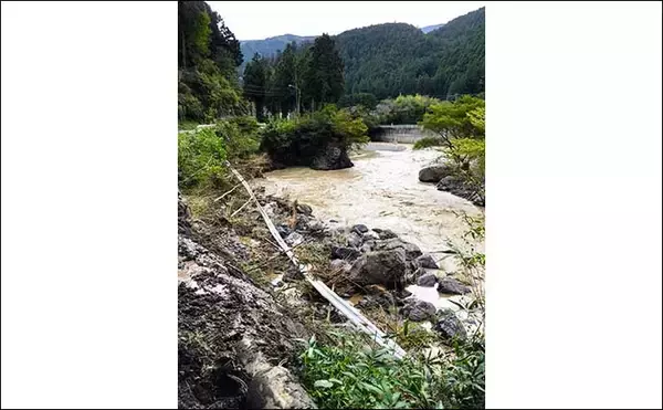 「名栗川のテンカラ釣りでヤマメと対面　台風被害から見事に回復【埼玉】」の画像